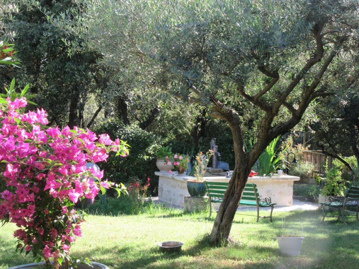 Domaine Du Bois Gite Bleuette Galargues Exteriör bild