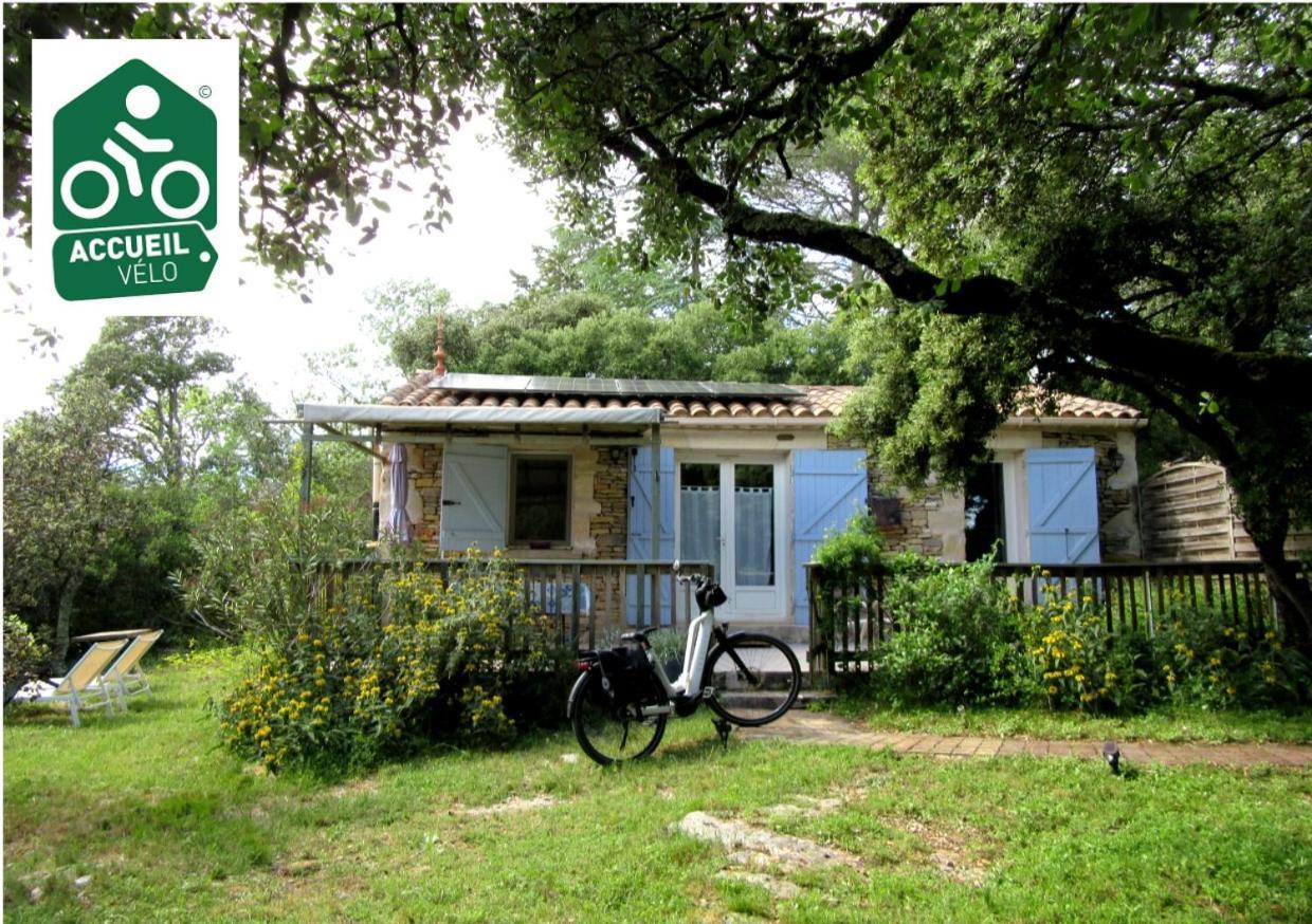 Domaine Du Bois Gite Bleuette Galargues Exteriör bild